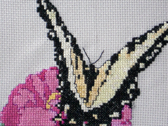 Butterfly and Zinnia  $7.00