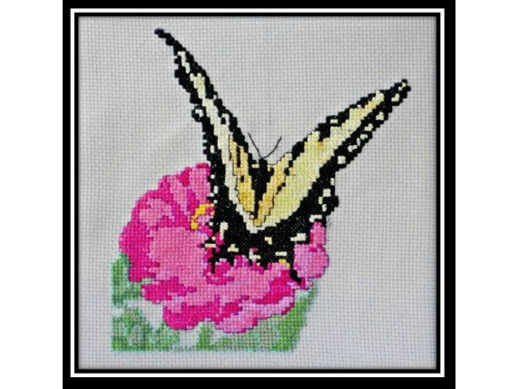 Butterfly and Zinnia  $7.00