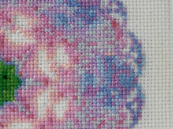 lace view clematis mandala