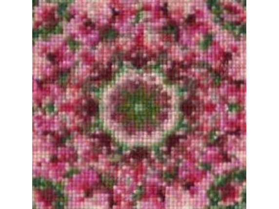 center close up rose mandala