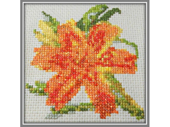 Sparkling Orange Day Lily  $5.00