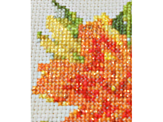 Sparkling Orange Day Lily  $5.00