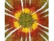 yellow and brown center sunflower mandala